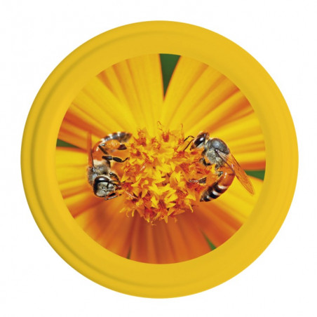 Capsule To63 Abeilles/Fleur Jaune Miel (x1400)