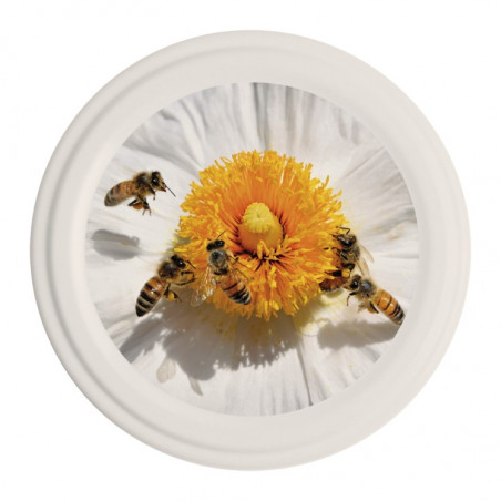 Capsule To63 Abeilles/Fleur Blanche (x1400)