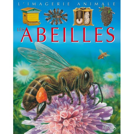 abeilles fleurus imagerie apiculture remuaux