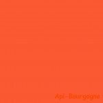 Couleur Orange Vif